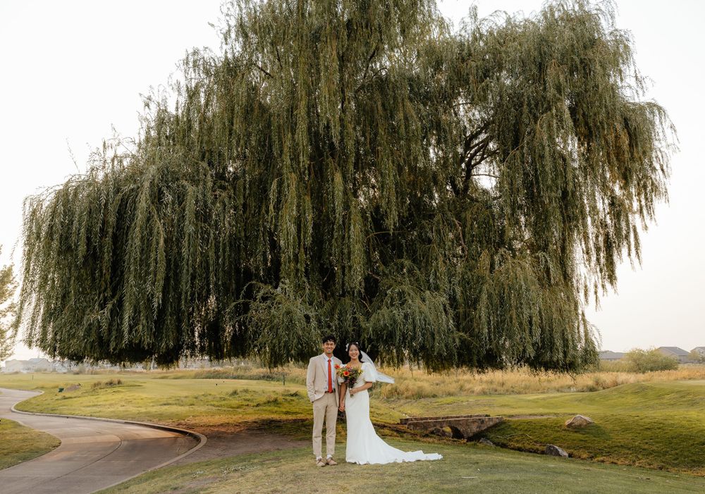 Bride and groom posing under a large weeping willow tree on their wedding day.