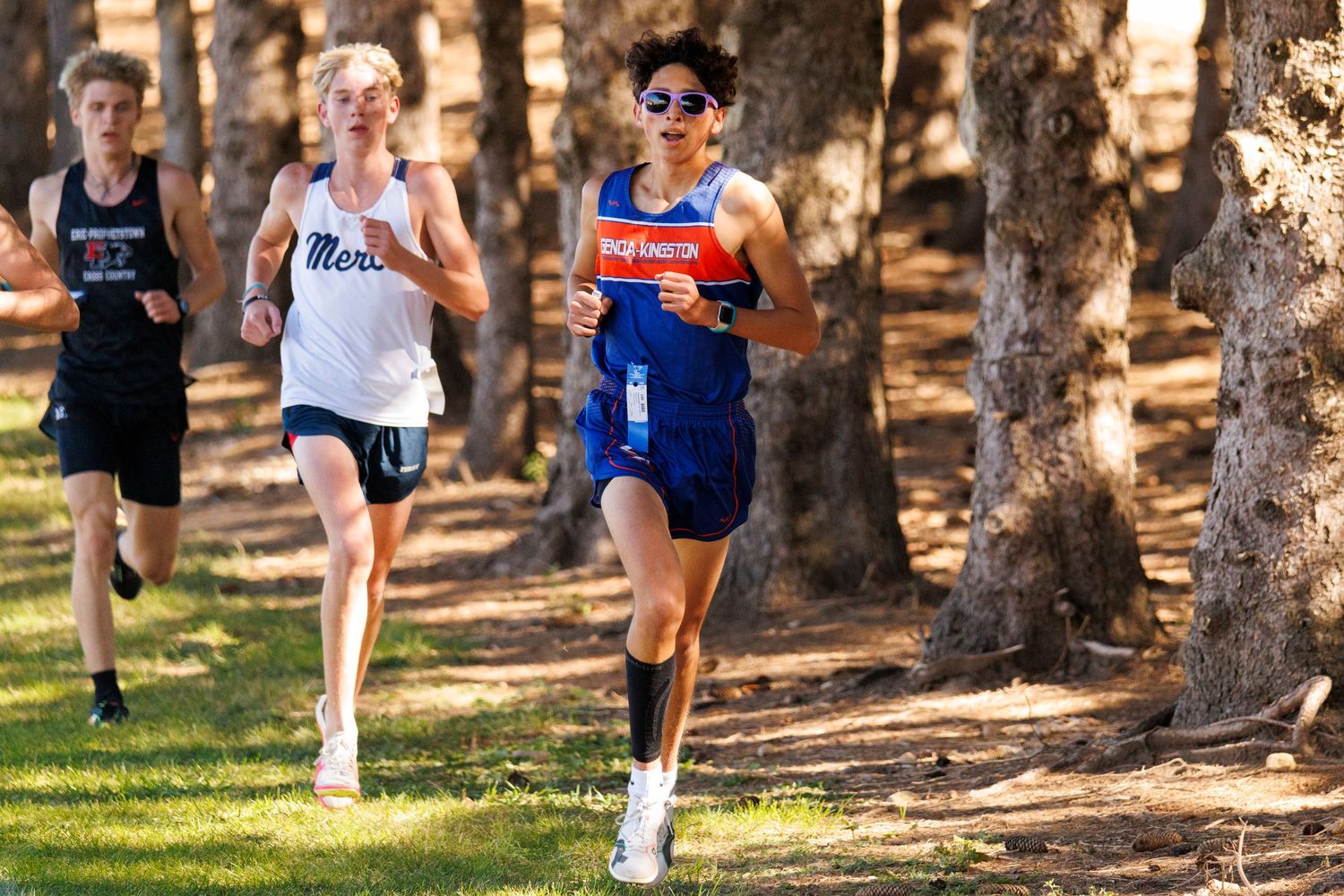 Runners racing through a wooded trail during a cross country competition on a sunny autumn day.