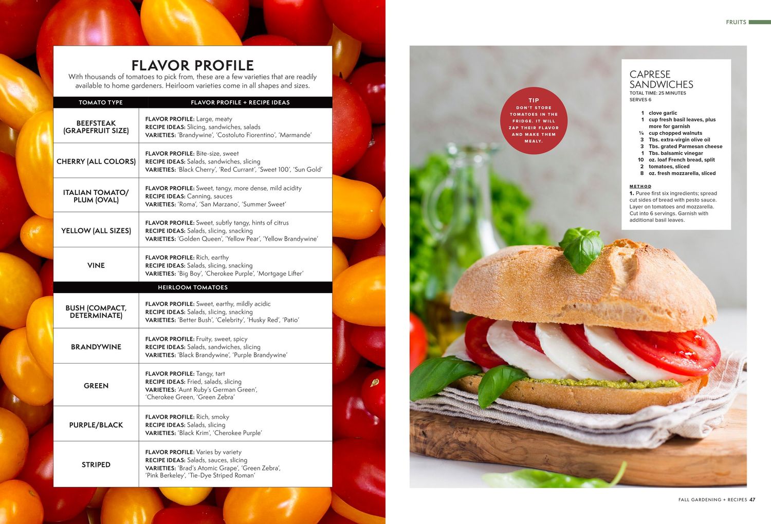 Magazine spread featuring sandwich recipes and flavor profiles with vibrant food photography.
