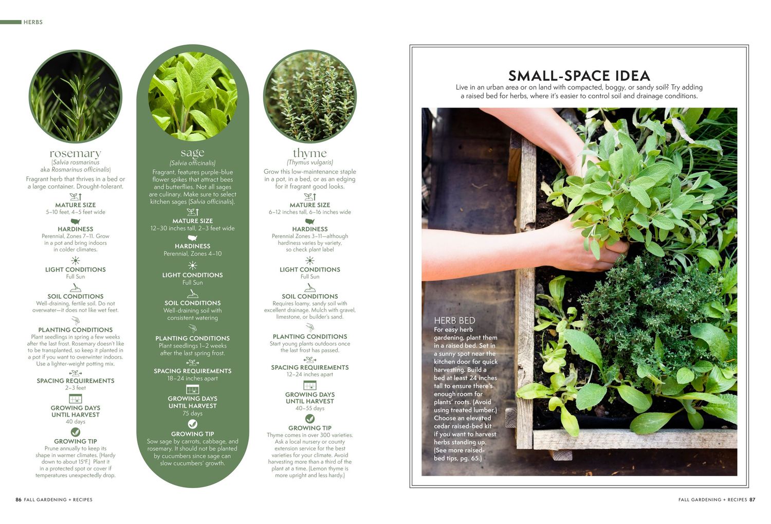 Garden planning guide with herb varieties and small space planting tips.