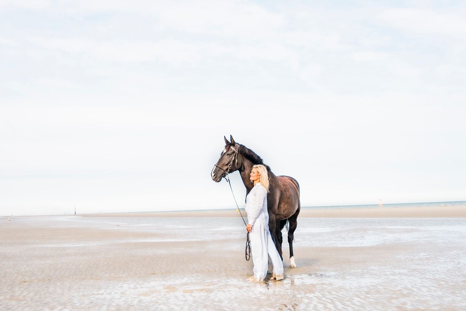 A bay horse stands alone on a vast empty beach against a bright sky.