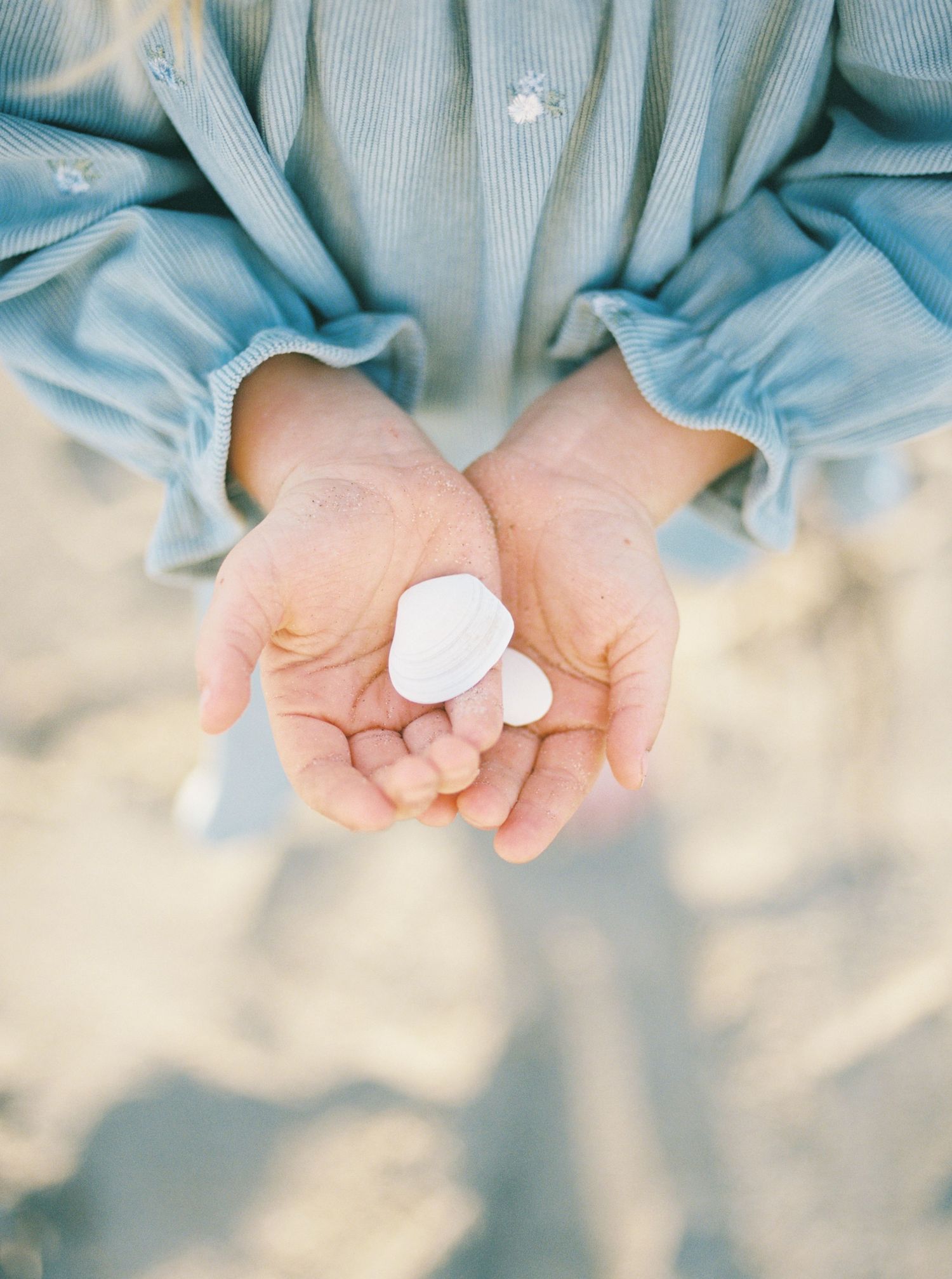 Child in a light blue striped shirt holds two small white seashells in cupped hands on a sandy beach.