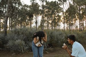 Man on one knee proposing to surprised woman in a pine forest at sunset.