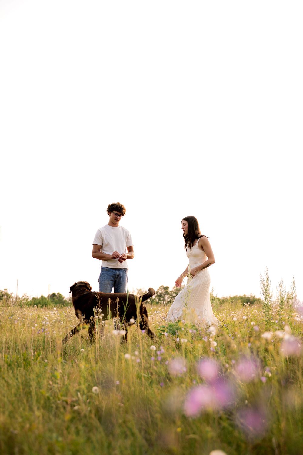 Couple in white dress and jeans playing with black dog in wildflower meadow on bright sunny day.