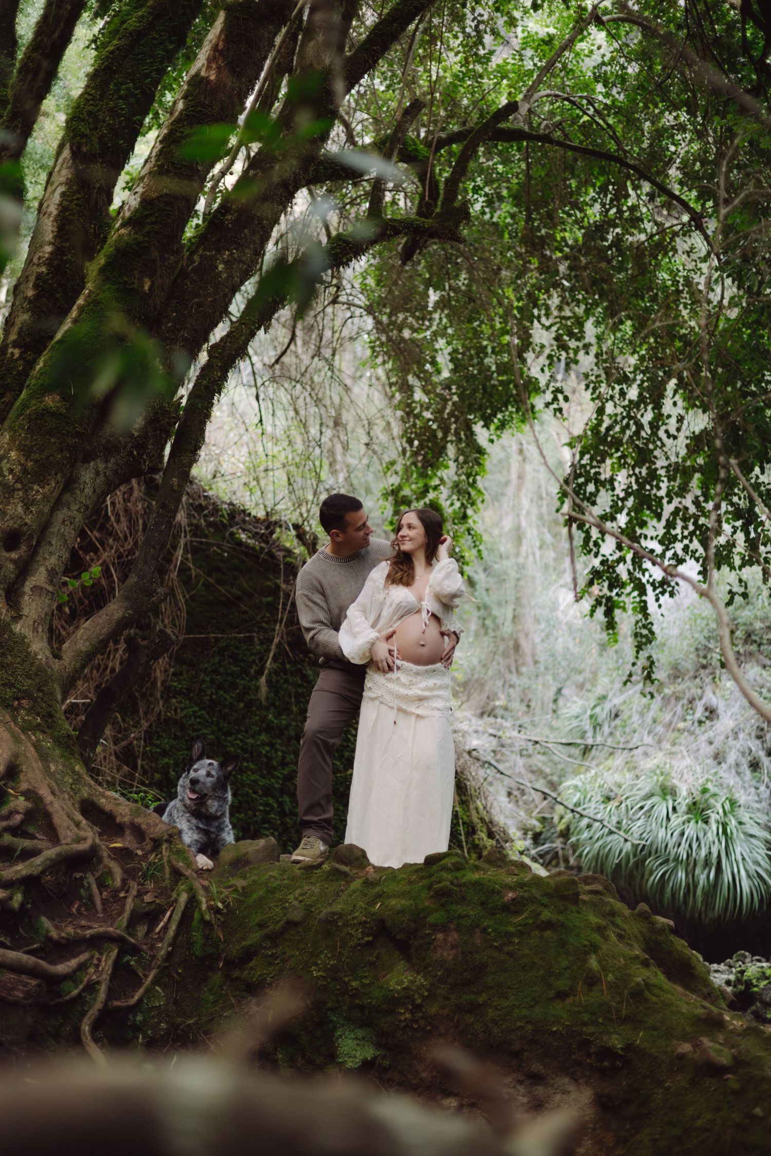 Couple embracing in a lush forest setting during a maternity shoot, with a blue dog sitting nearby.
