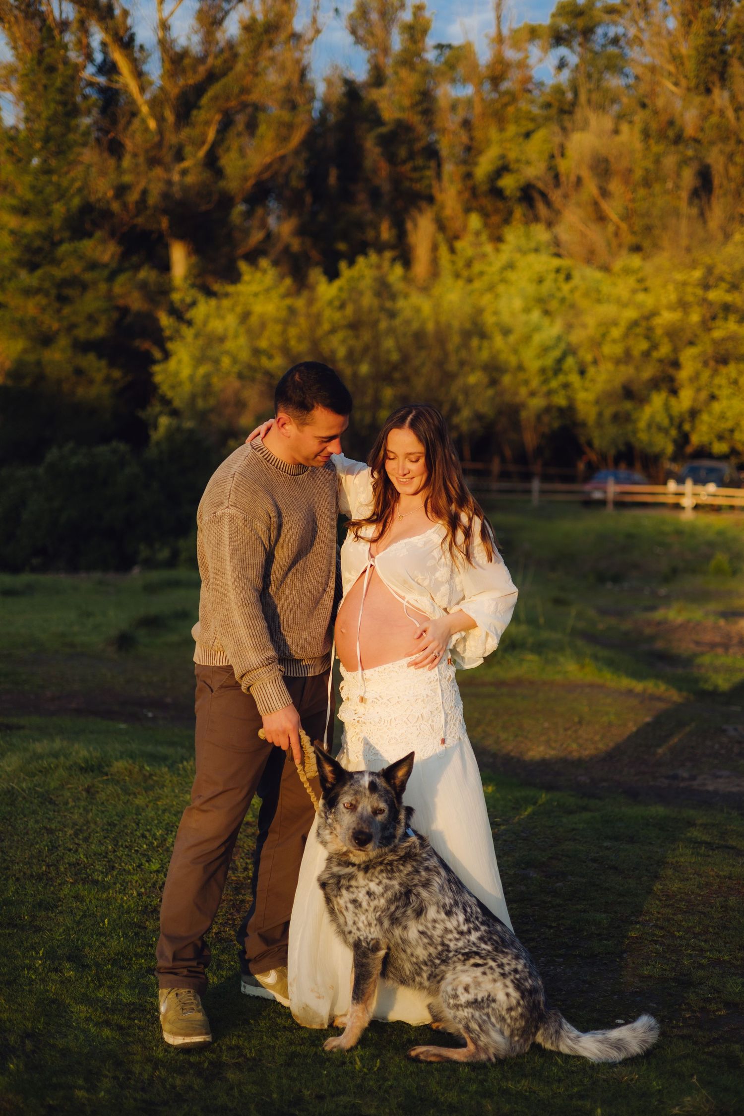 Couple with dog in golden hour light, pregnant woman in white dress and man in gray sweater standing on green grass.