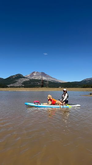 A person and their golden doodle dog wearing a life jacket stand on a paddleboard on a mountain lake.