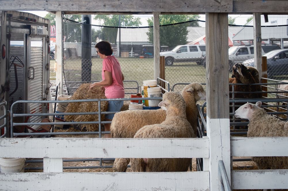 Boone County Fair in Belvidere, IL. August 16, 2026. Photo: David Manning.