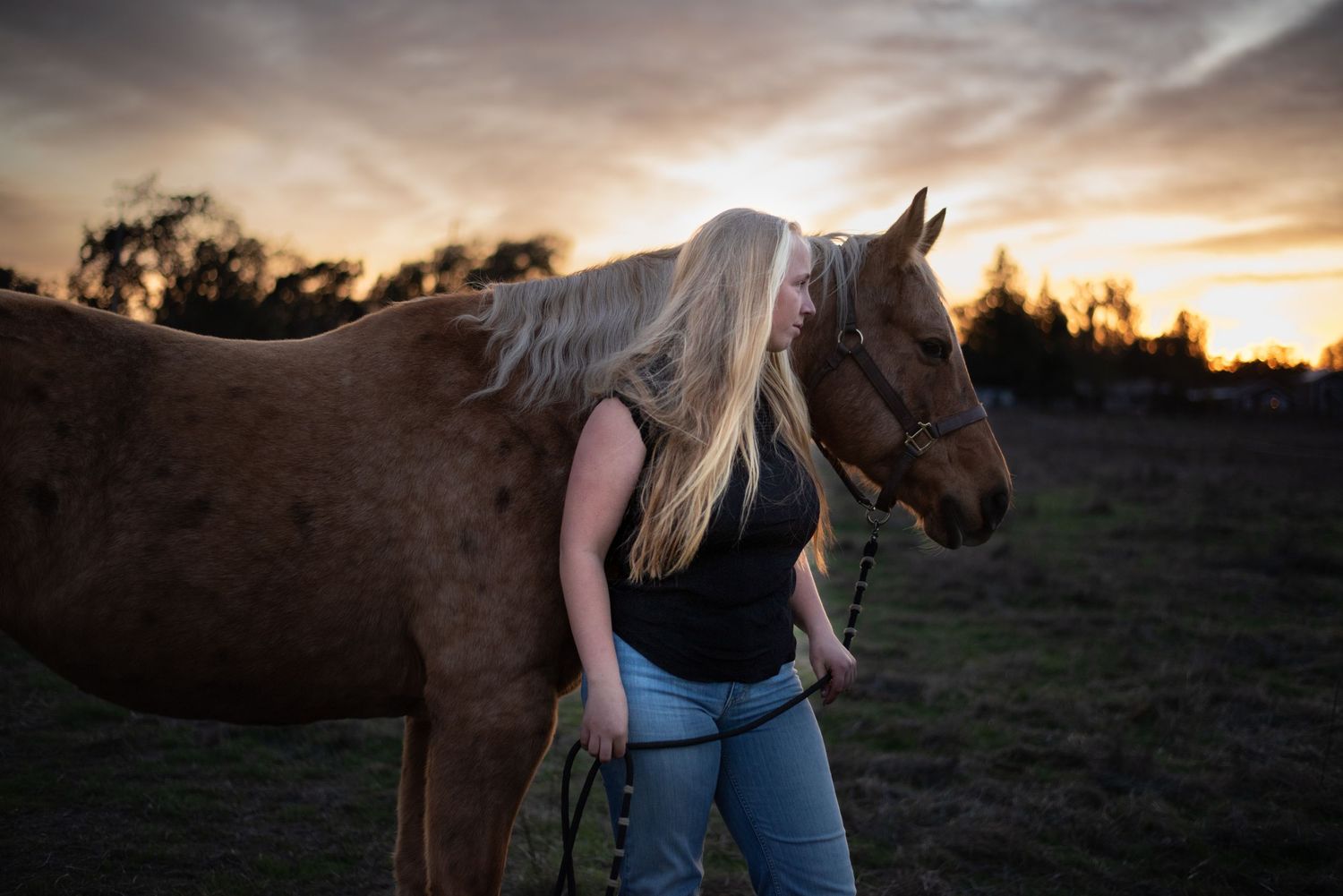 Sonoma County senior horse photography featuring a high school senior girl and her horse at sunset, with golden light and open fields.