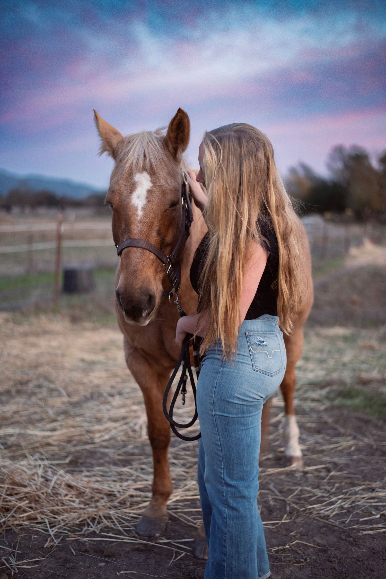 Sonoma County senior horse photography featuring a high school senior girl and her horse at sunset, with golden light and open fields.