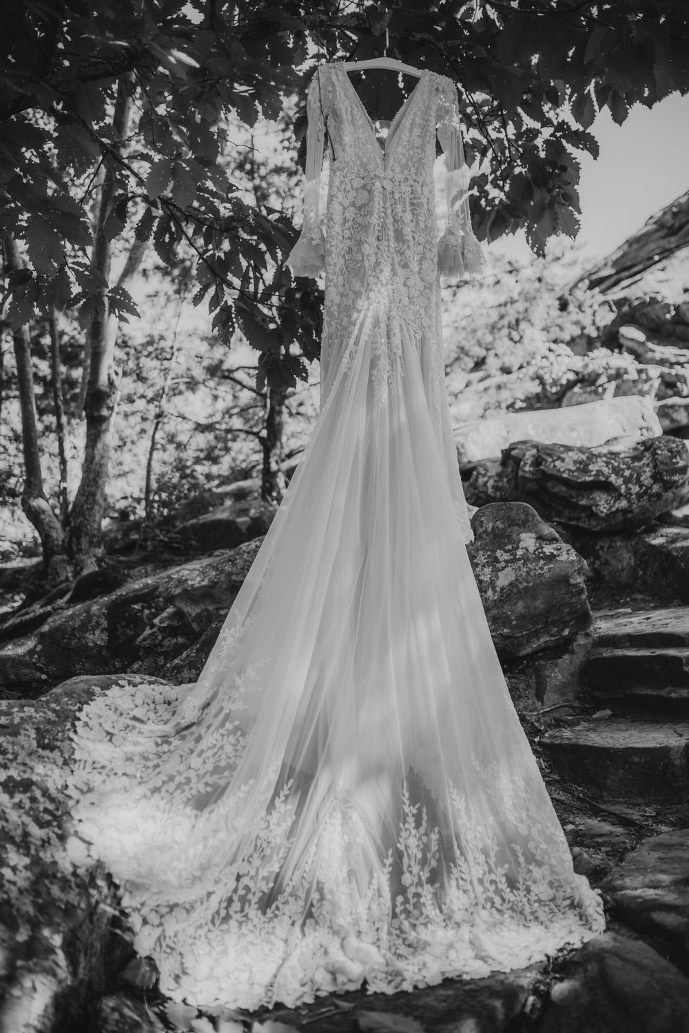 Black and white photo of elegant lace wedding dress with long train hanging from tree in rocky forest.