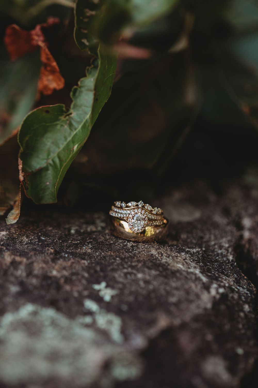 Gold diamond wedding ring set resting on dark rock surface surrounded by green and red leaves.