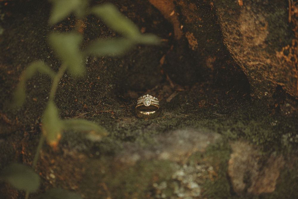Close-up of diamond wedding ring resting on mossy rocks in a natural outdoor setting.