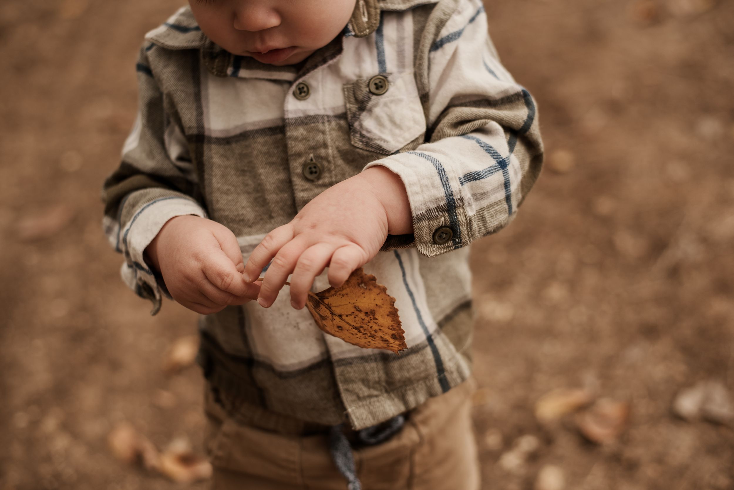 Toddler in plaid shirt holding an autumn leaf outdoors.