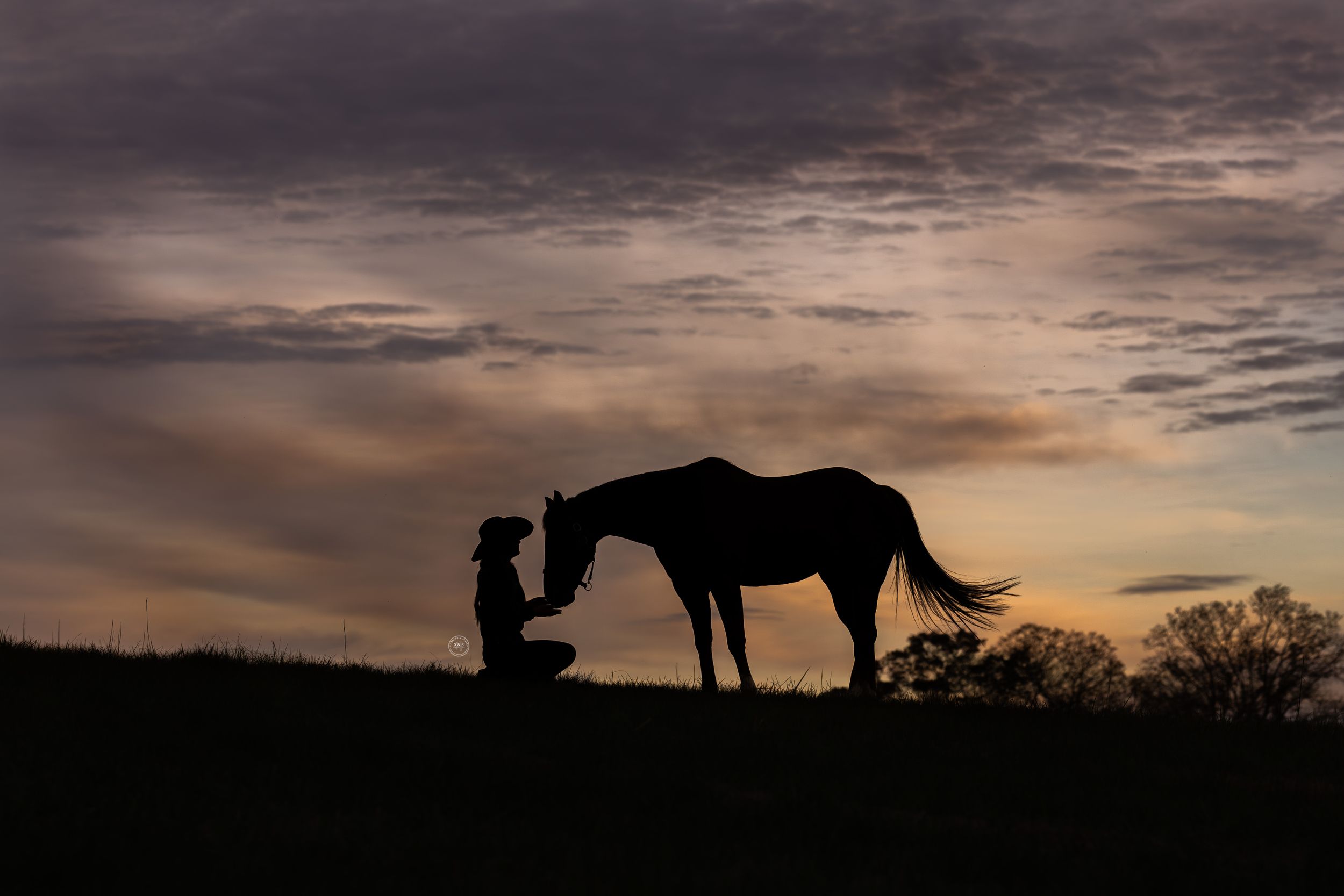 Silhouette of a person kneeling beside a horse at sunset with dramatic cloudy sky in the background.