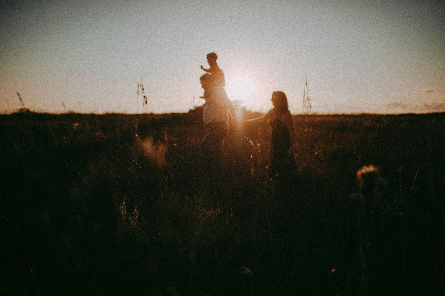 Silhouettes of a family standing in a golden field at sunset, with warm backlight and tall grass surrounding them.