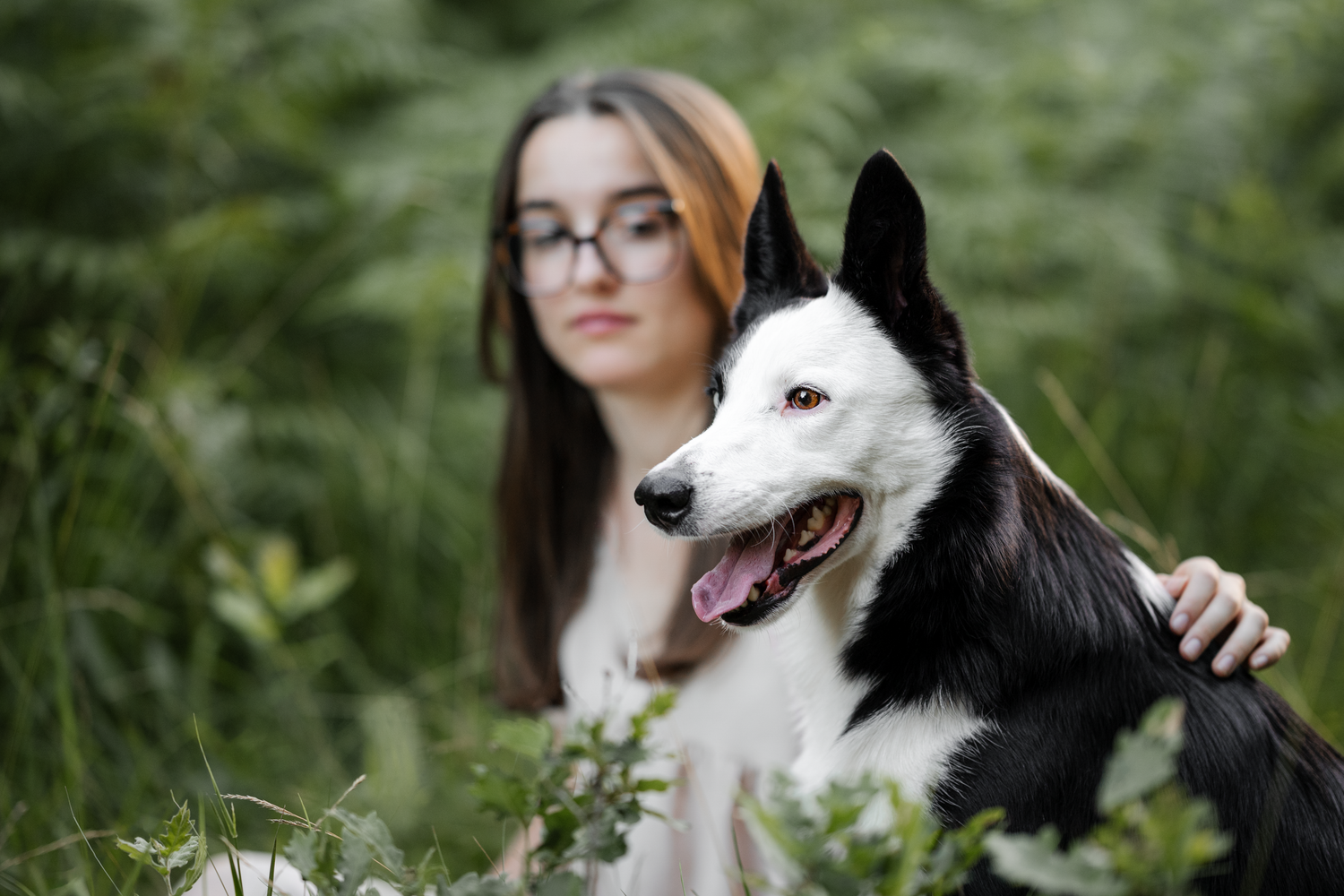 Portrait d'un chien et d'une femme dans la forêt