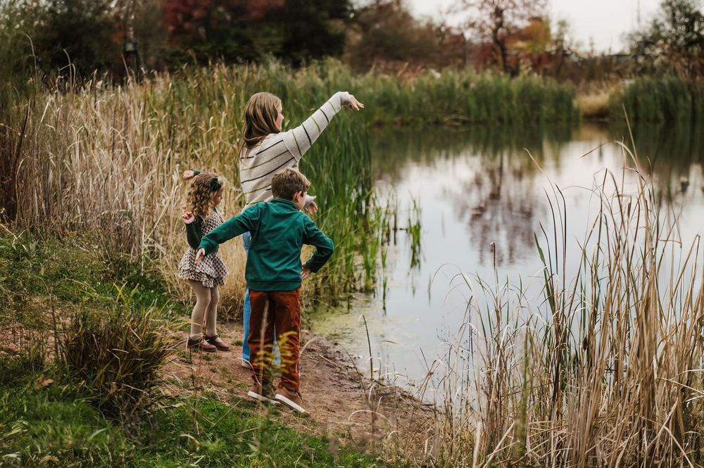 Three children stand at the edge of a serene pond surrounded by tall reeds, with one child pointing across the water.