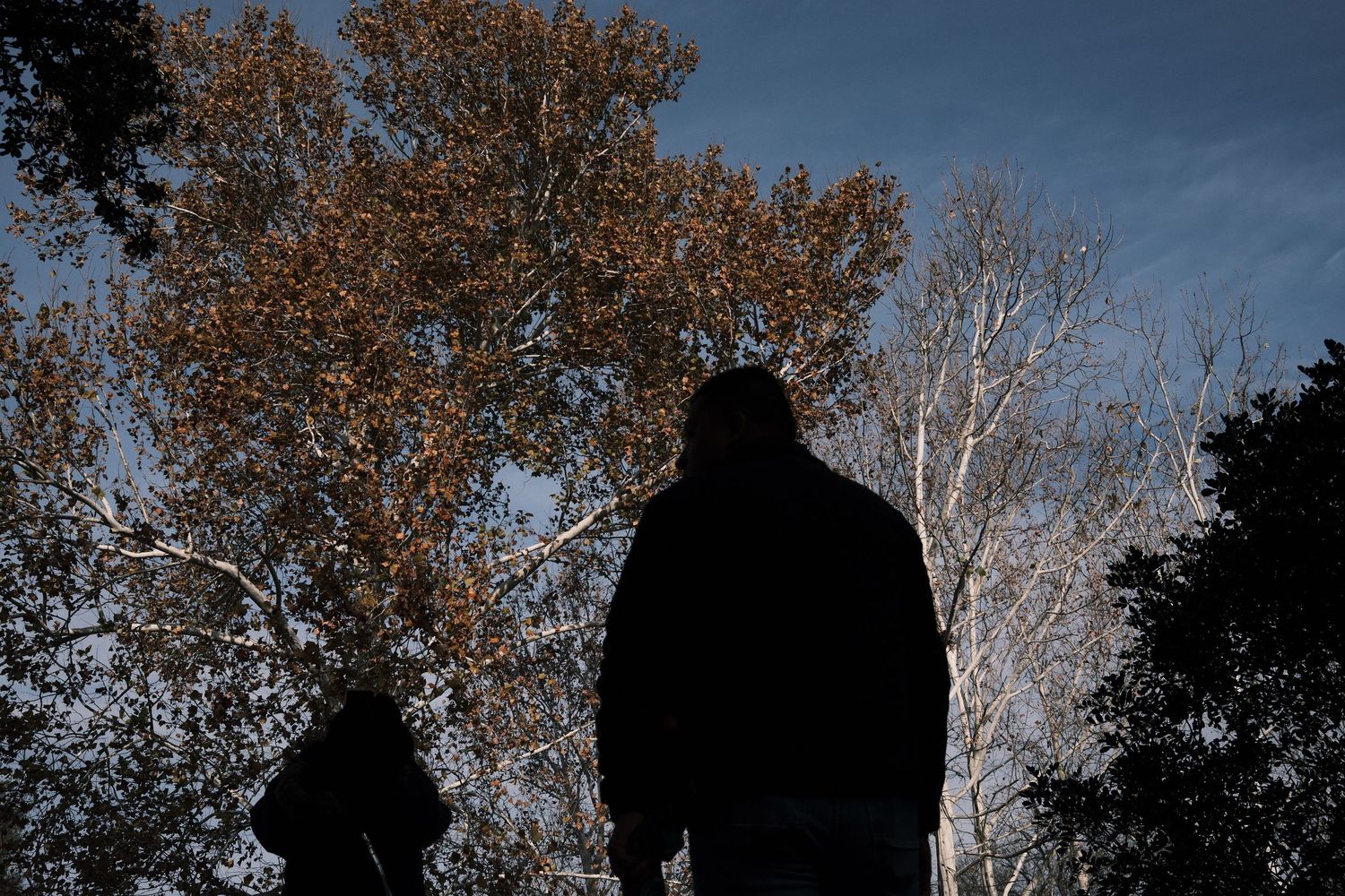 Two silhouetted figures stand against a blue sky with bare and autumn-colored trees in the background.
