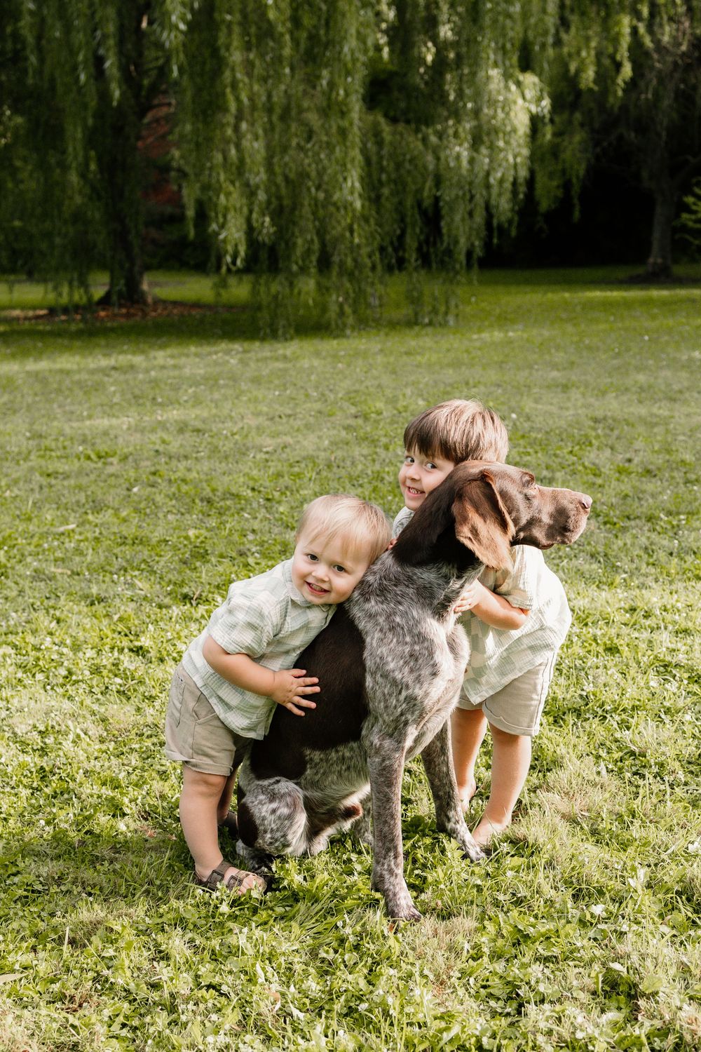 Two young boys hugging a German Shorthaired Pointer dog on green grass with willow trees in background.
