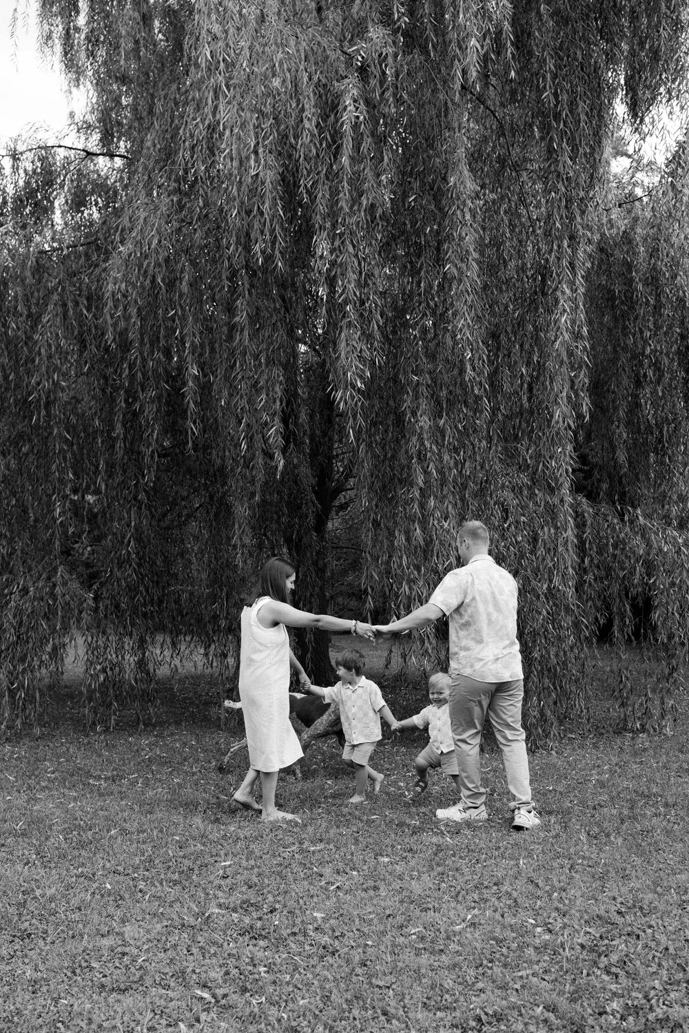 Black and white photo of a family holding hands in a circle under a weeping willow tree in a park.