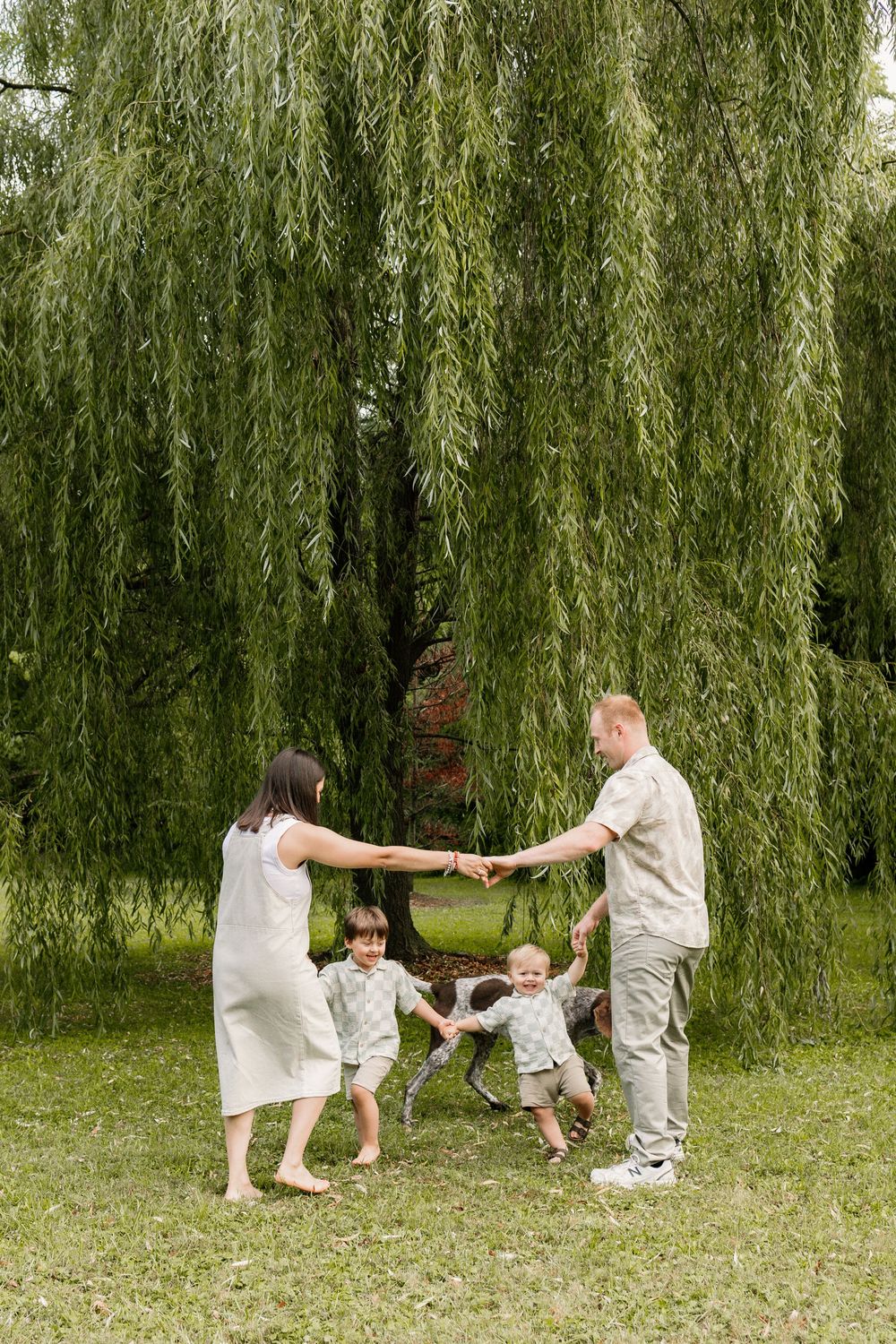 Family of four holding hands in a circle under a weeping willow tree on a green lawn.