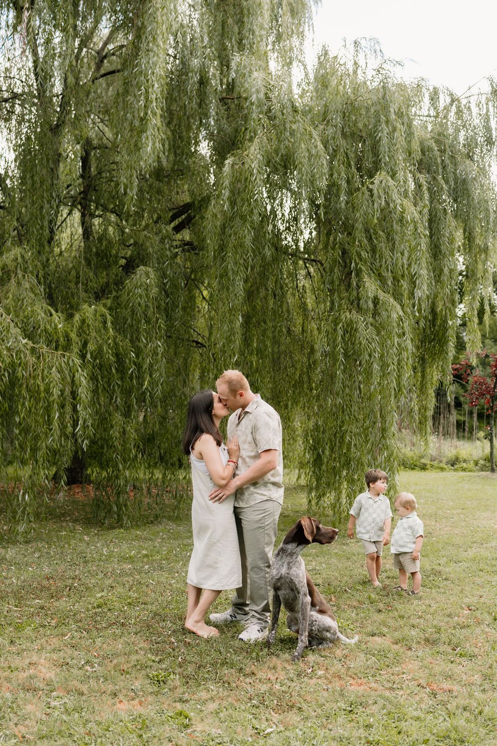 A couple kisses under a weeping willow tree while their dog and two young children play nearby on green grass.