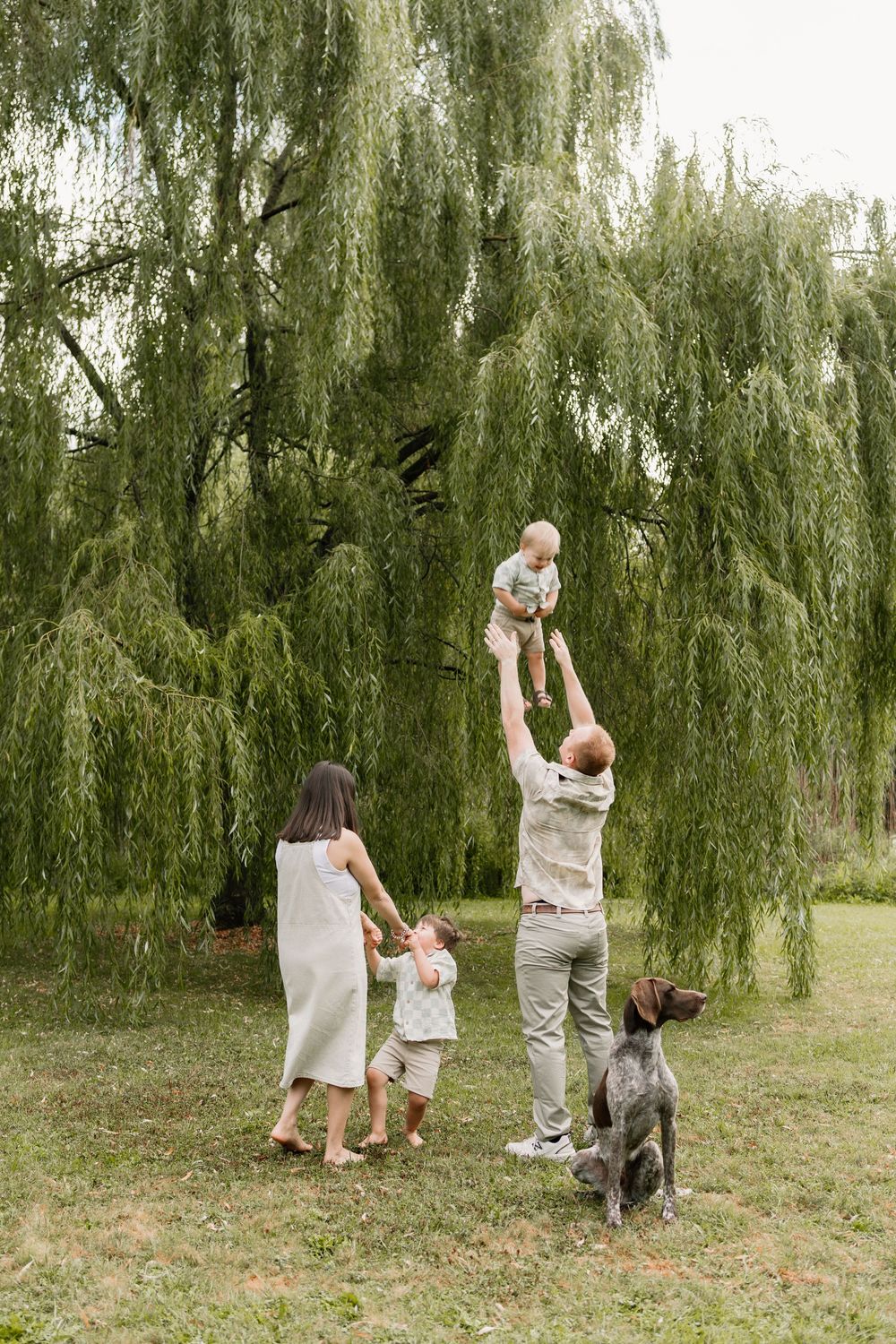 Family with dog enjoying outdoor time under willow tree, father tossing baby in air while mother holds toddler.