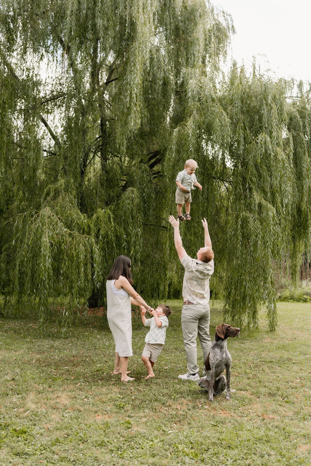 A father tosses a toddler in the air while mother and child watch, with their dog sitting beside a weeping willow.
