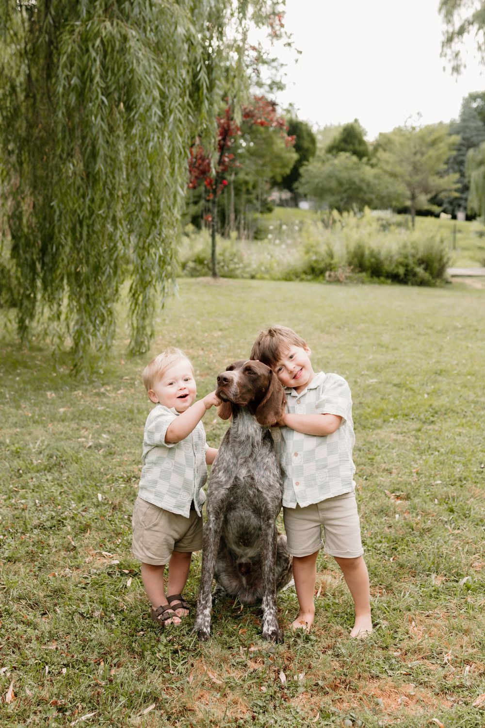 Two young boys hugging a German Shorthaired Pointer dog on green grass beneath a weeping willow tree.