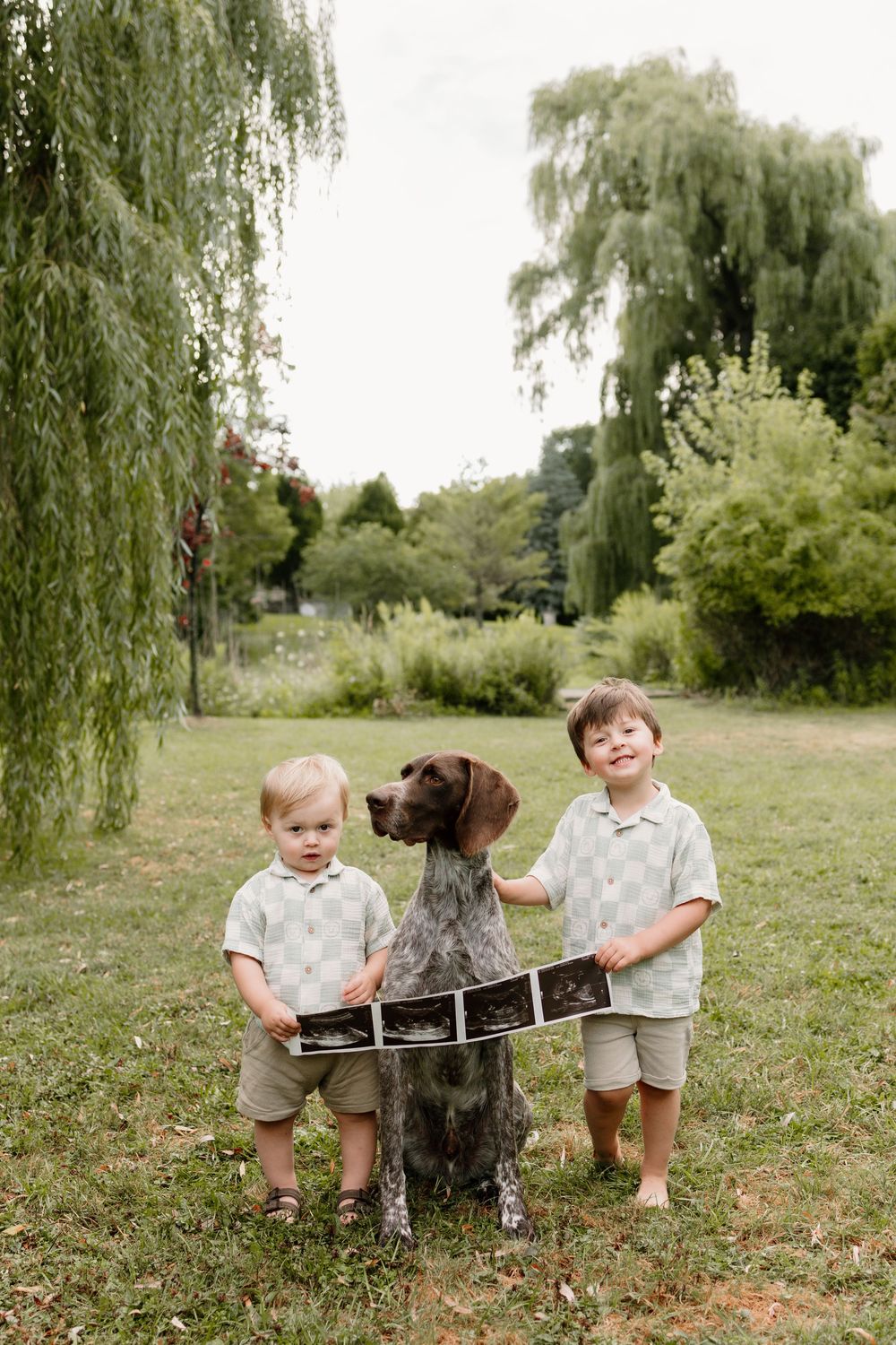 Two young boys and a German Shorthaired Pointer dog hold ultrasound photos in a lush green park.