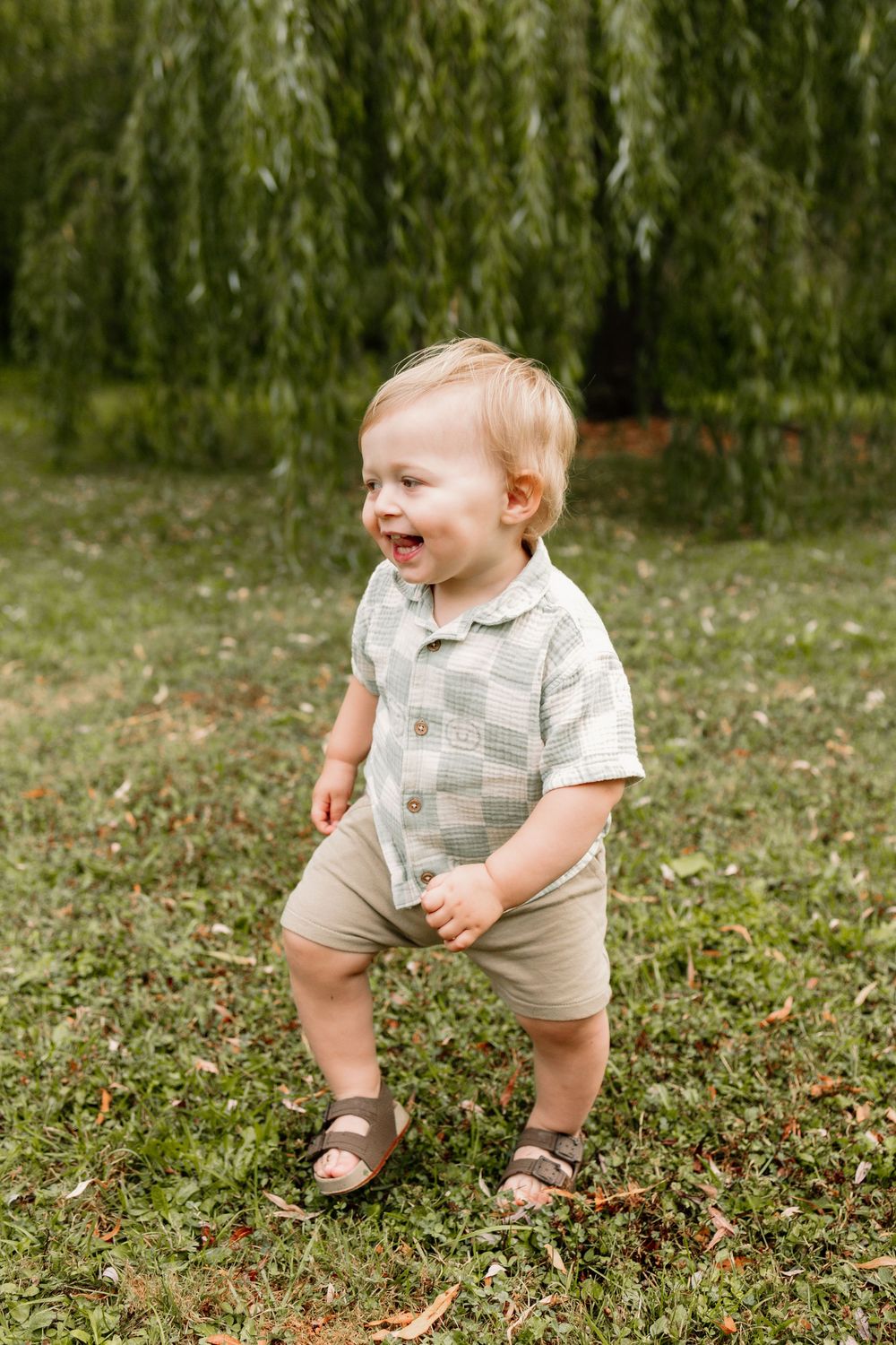 Happy toddler boy in checkered shirt and khaki shorts laughing outdoors on green grass near willow tree.