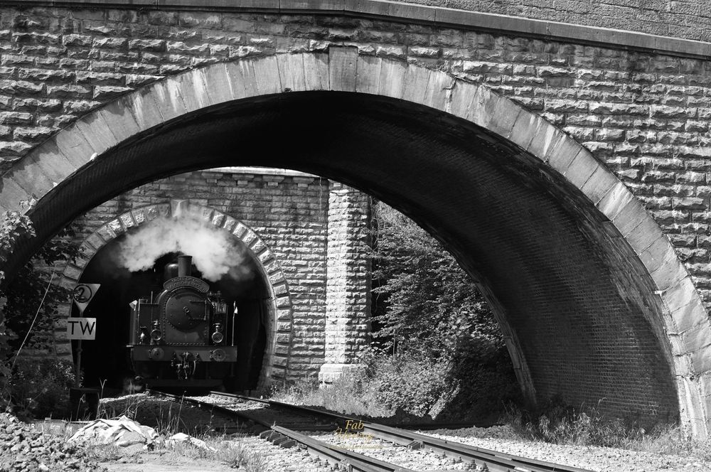 Train à vapeur traversant un tunnel en pierre, N&B