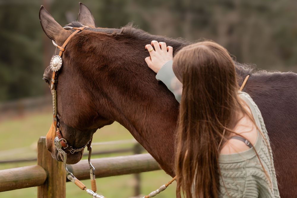 Young woman with long hair gently petting a brown horse over a wooden fence in a serene outdoor setting.