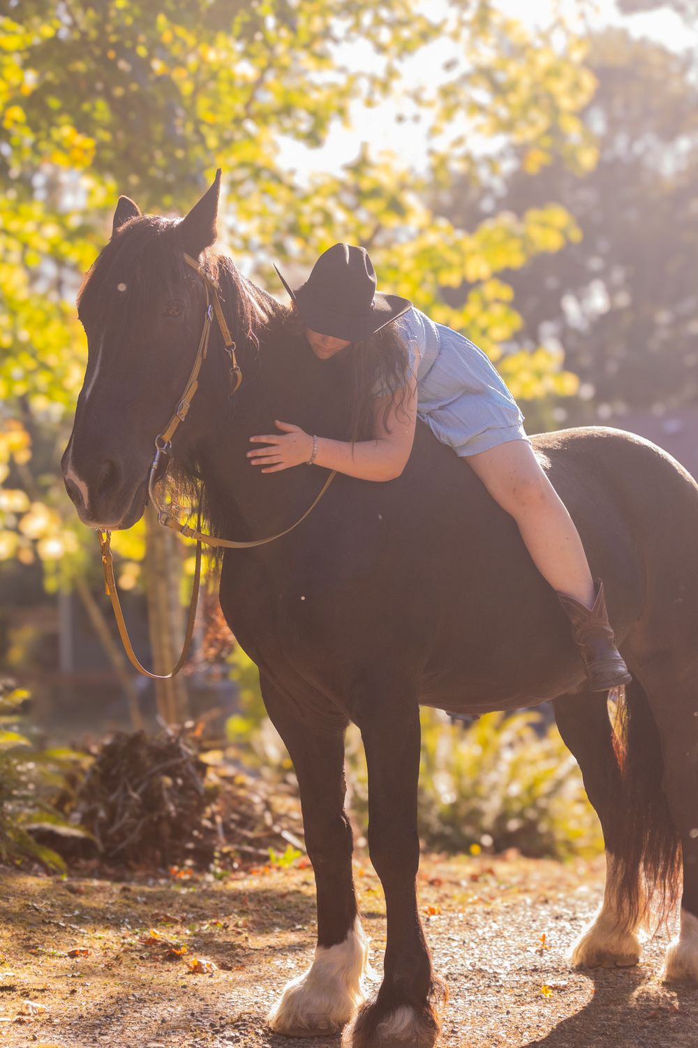 Woman in cowboy hat leaning forward to hug a dark brown horse outdoors in golden sunlight.