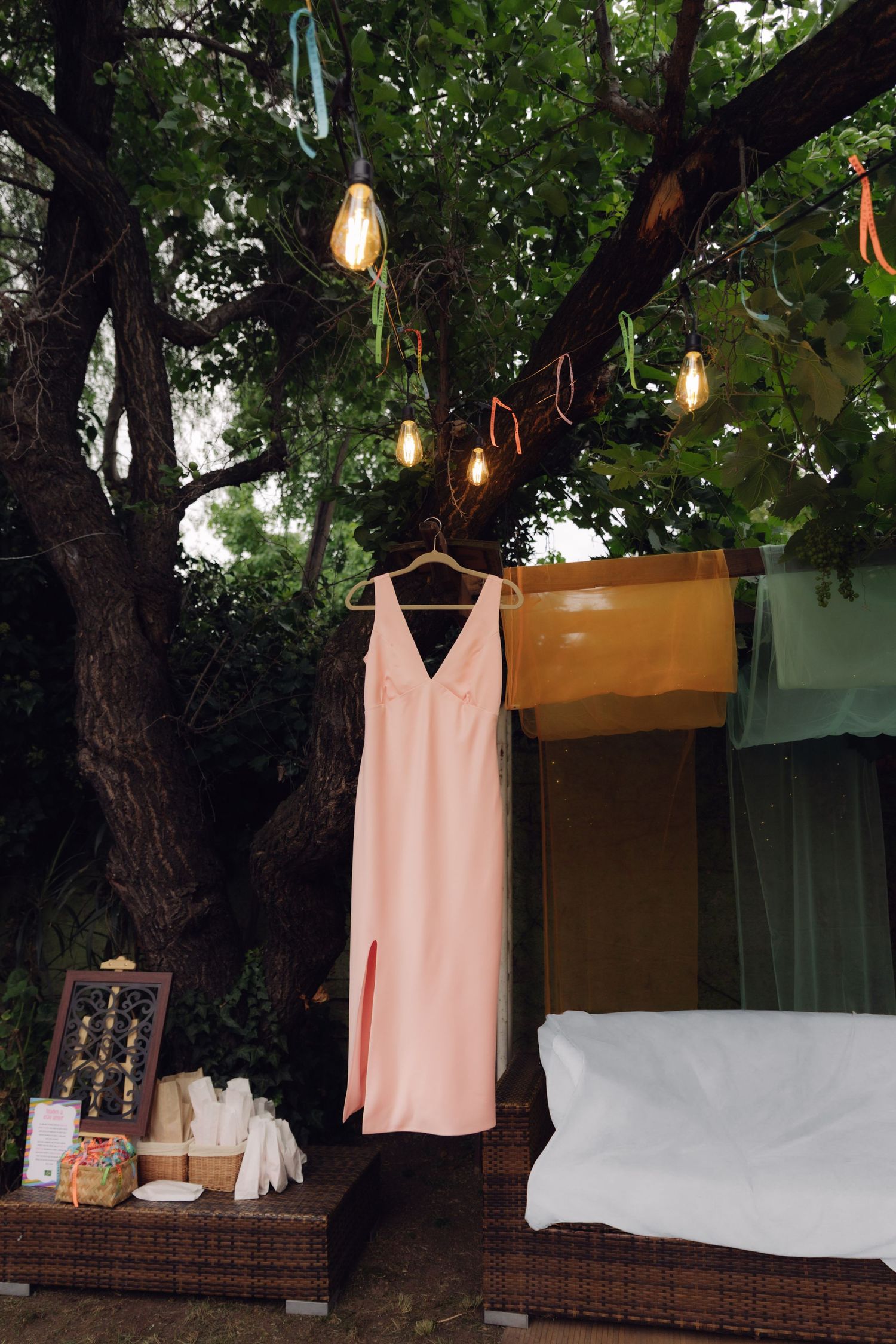 An elegant pink slip dress hangs from a tree branch surrounded by warm Edison bulb lights.
