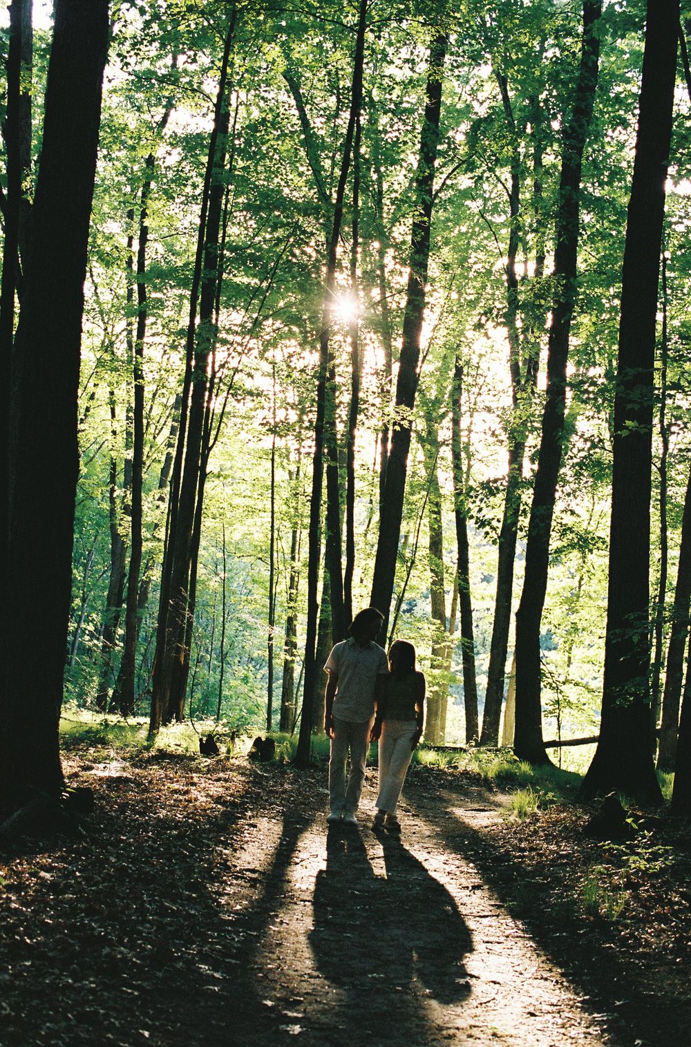 Two people walk hand in hand on a sunlit forest trail surrounded by tall trees with green foliage.