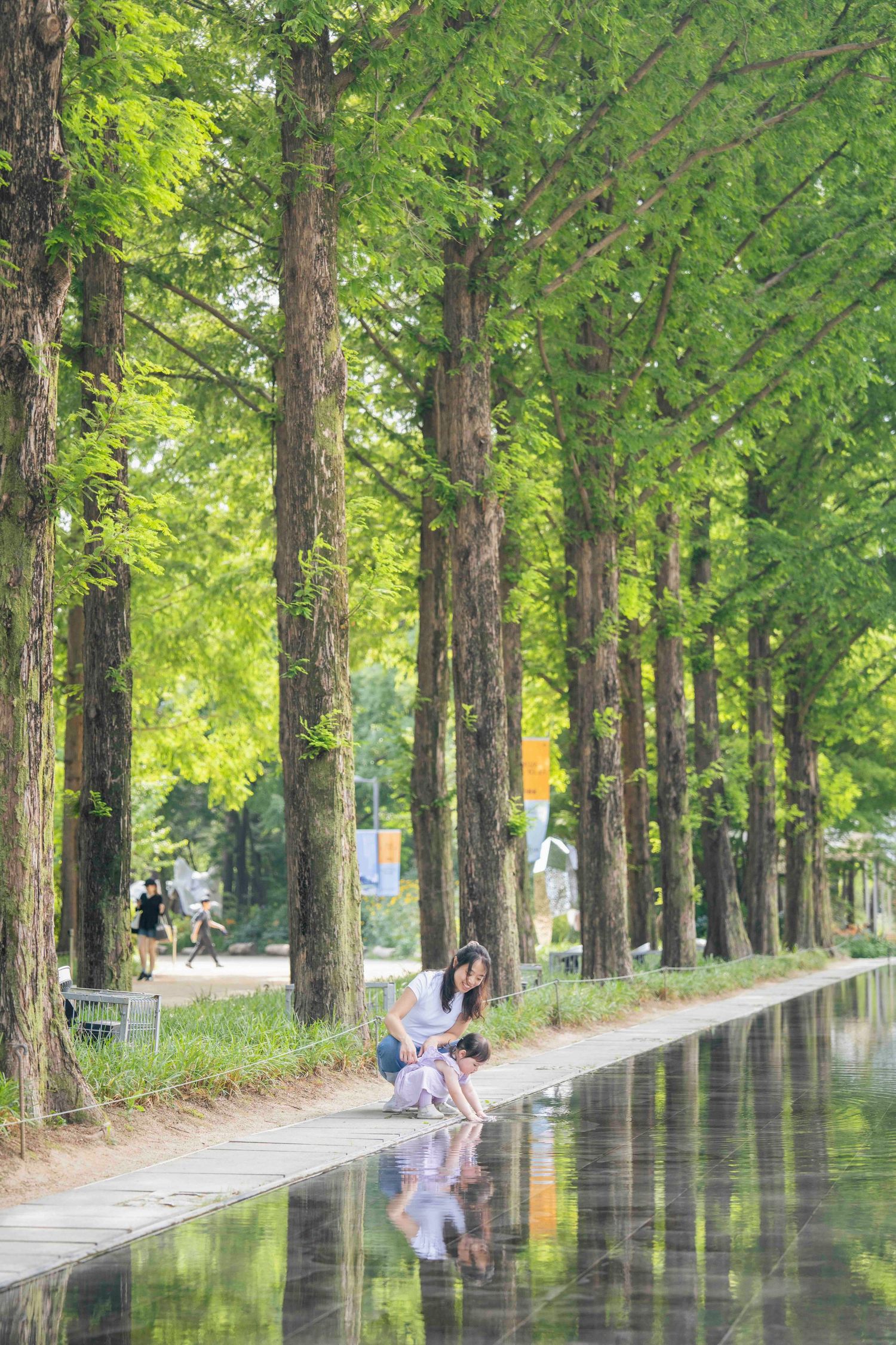 Two people sit beside a reflective pool along a tree-lined path with tall green metasequoia trees in a park.