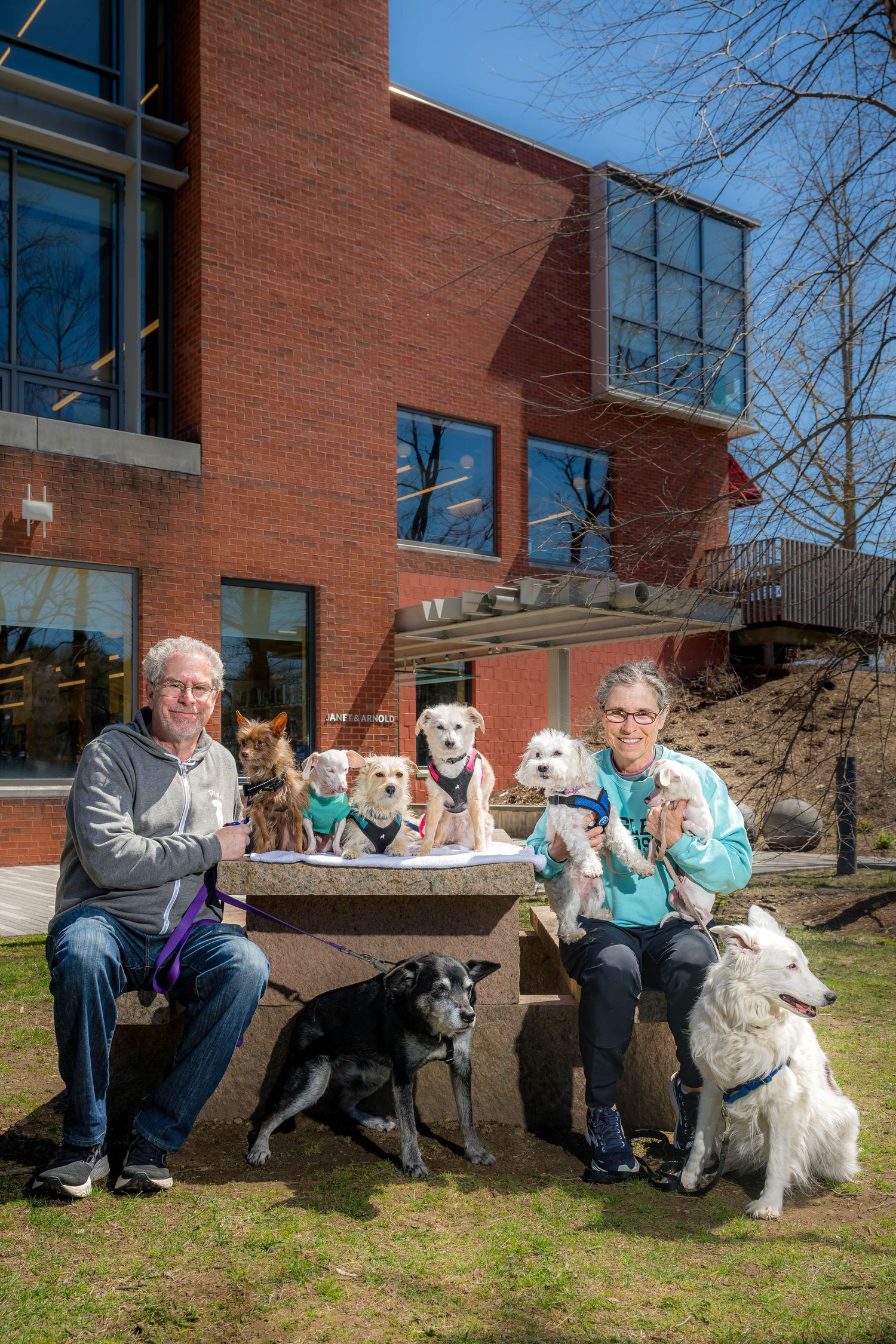 Two people sit on a bench outdoors with seven dogs of various breeds near a brick building on a sunny day.
