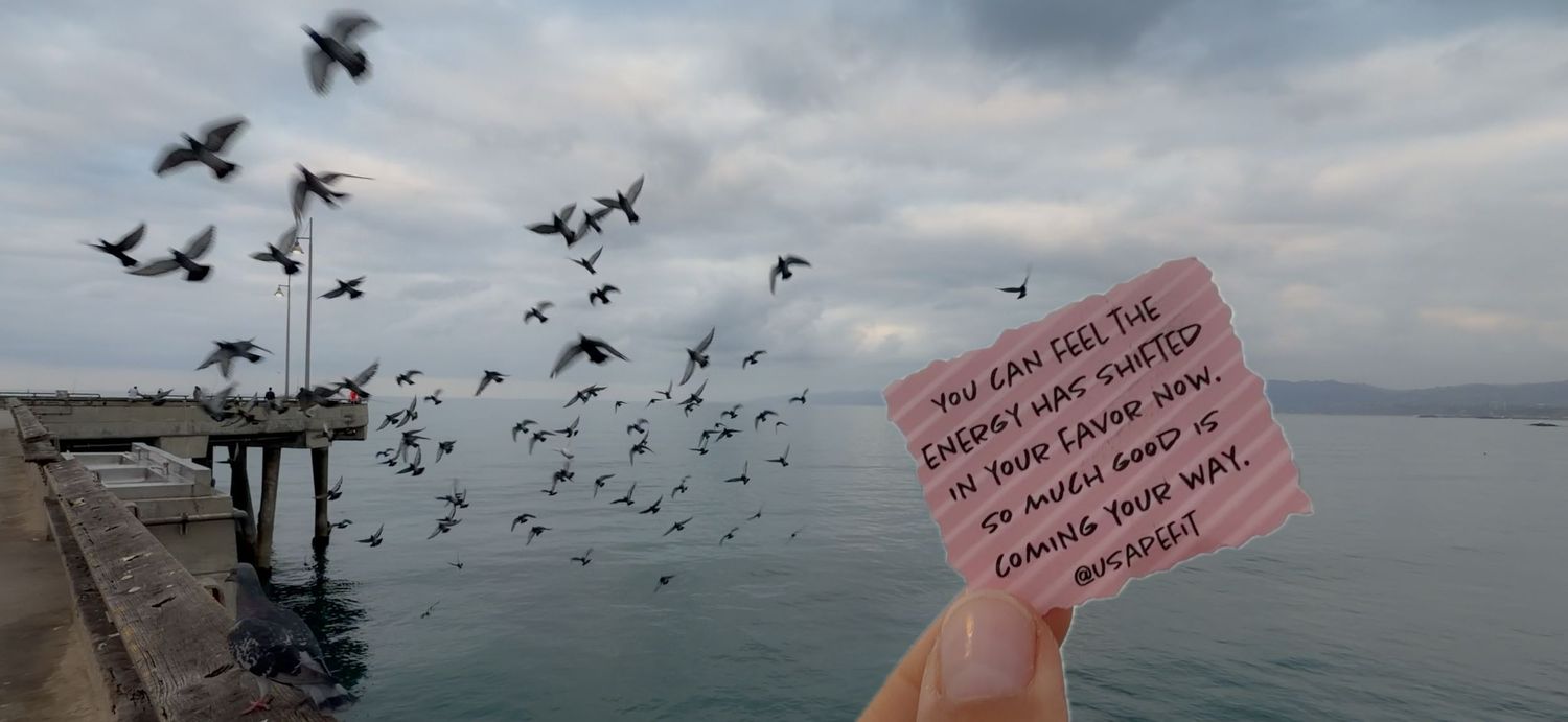 Hand holding a pink note card with inspirational text near a pier with birds flying over calm ocean waters.