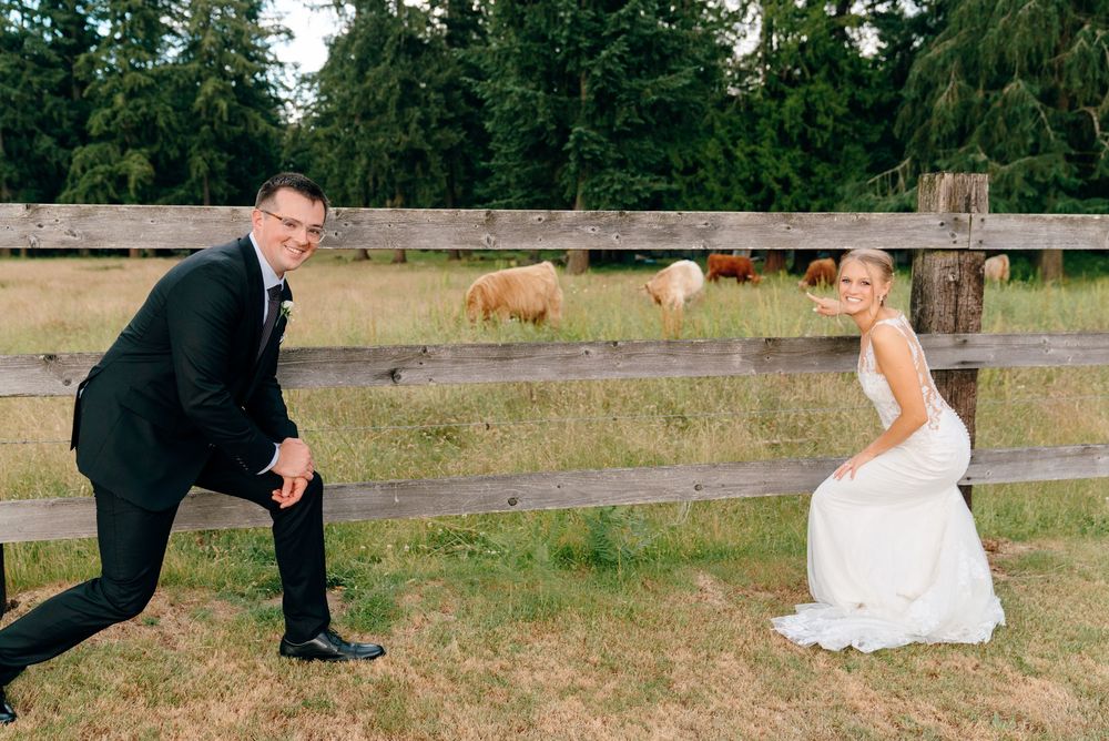Bride and groom posing playfully by a rustic wooden fence with cattle grazing in a green pasture behind them.