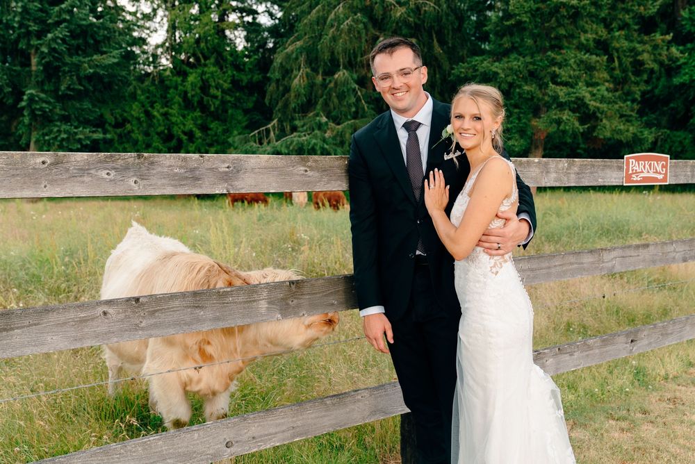 Bride and groom posing by a wooden fence with a cow on their wedding day at a rustic farm venue.