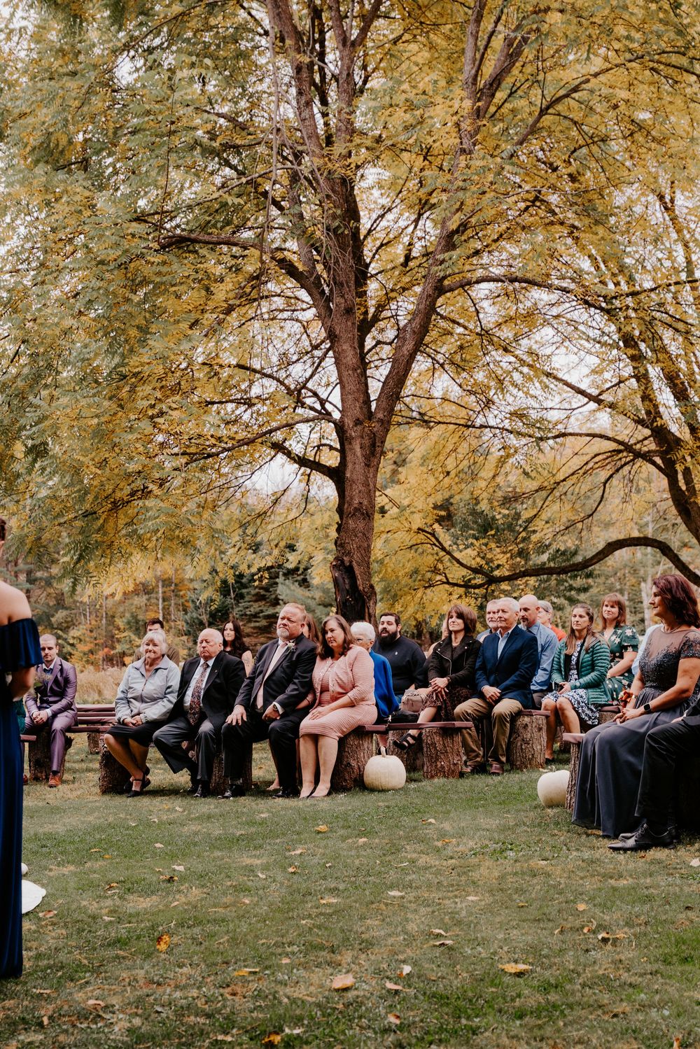 Guests seated outdoors at a fall wedding ceremony beneath golden autumn trees on a lush green lawn.