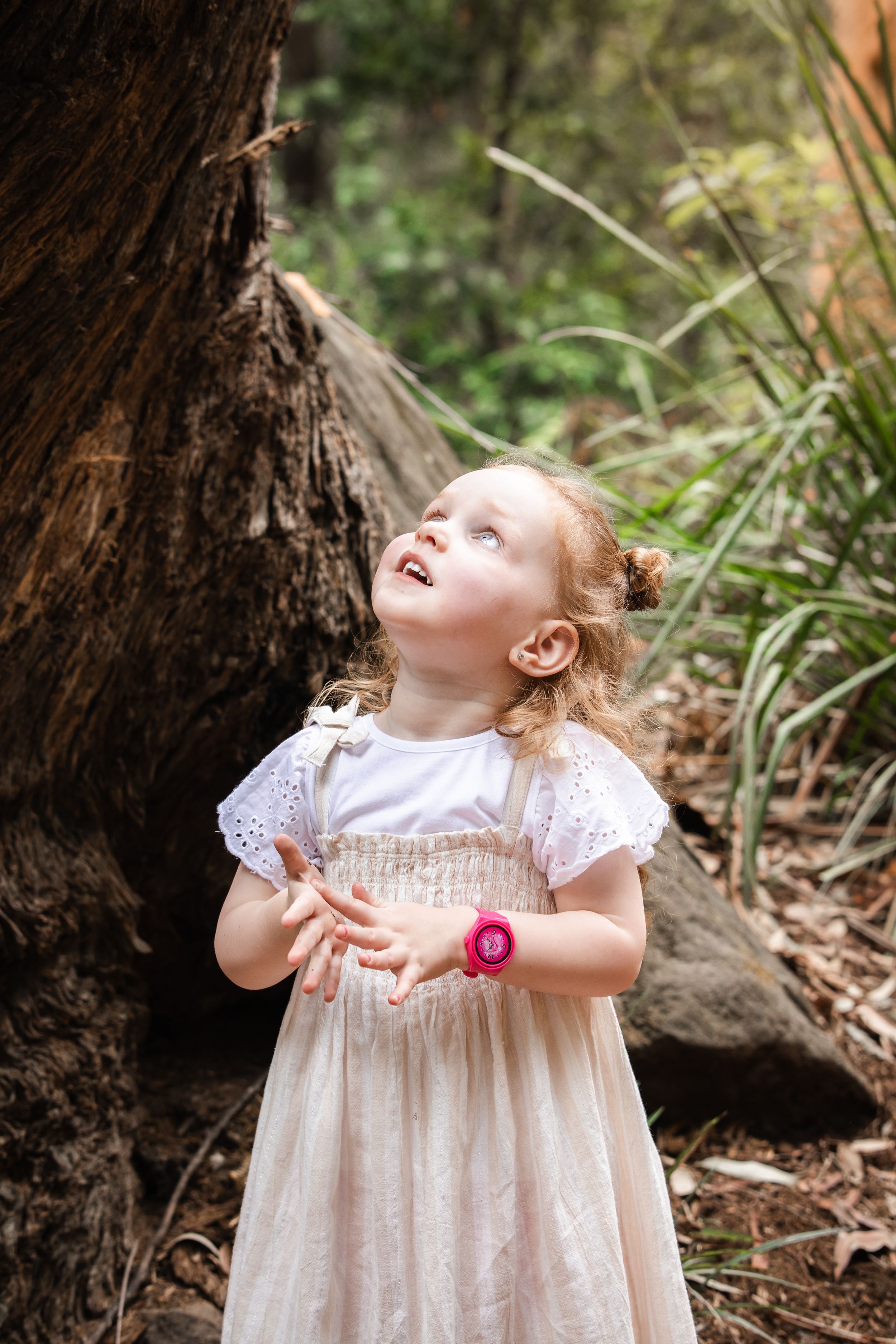 Young girl in white dress looking up in wonder beside a large tree trunk in a lush forest setting on bushwalk in Cherrybrook.