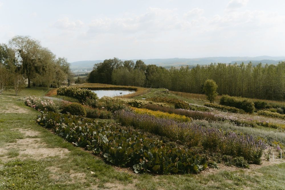 Aerial view of a colorful terraced flower garden with winding paths, surrounded by trees and rolling countryside landscape.