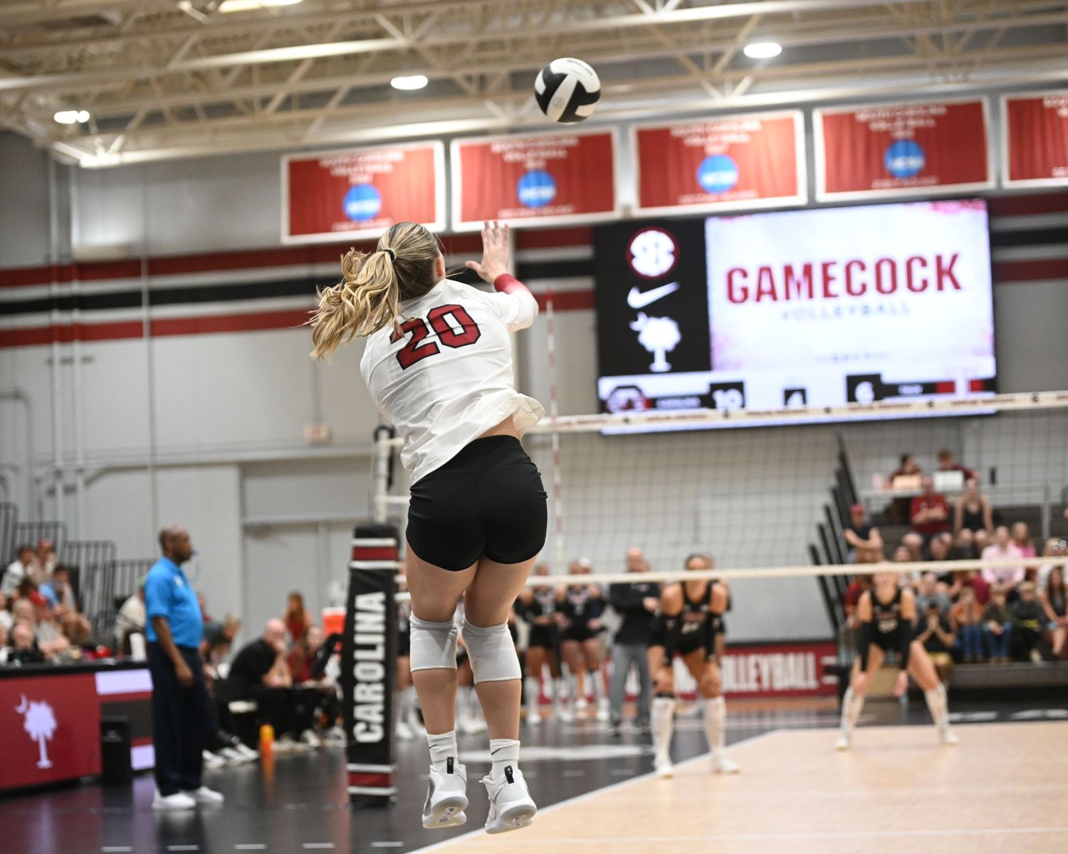 South Carolina volleyball player wearing number 20 jumps to serve in a home arena.