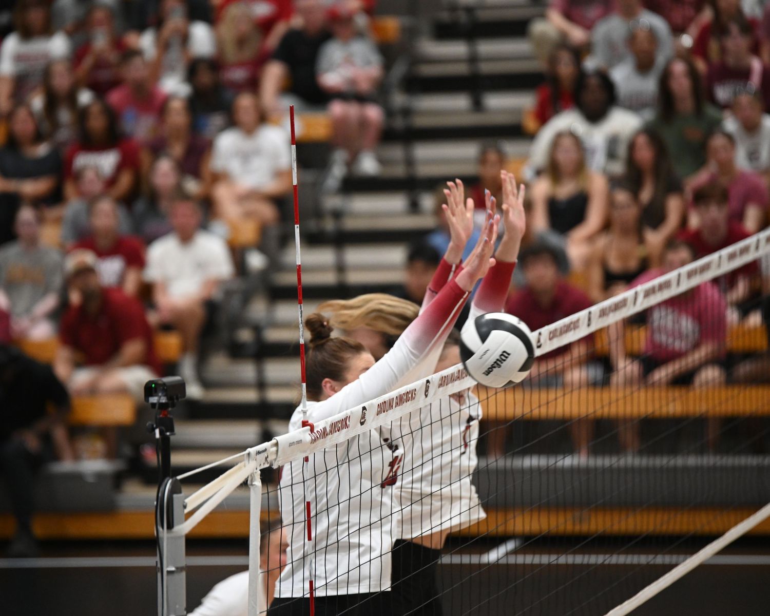 Two South Carolina volleyball players reach above the net to block the ball.