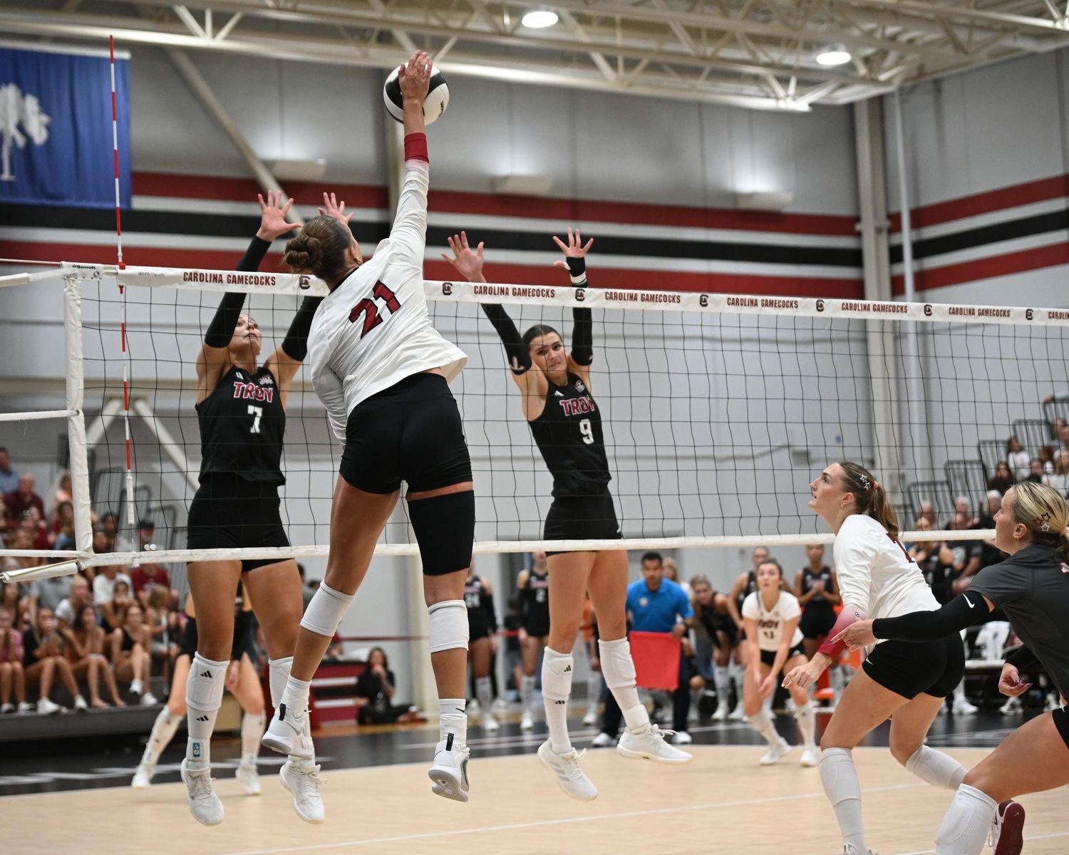 South Carolina volleyball player wearing number 21 swings at the ball against two blockers.