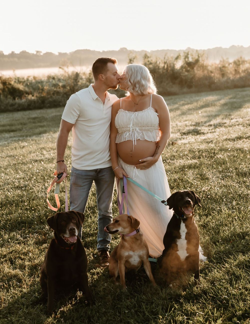 Pregnant couple kissing outdoors at golden hour with three dogs on leashes sitting in green field.
