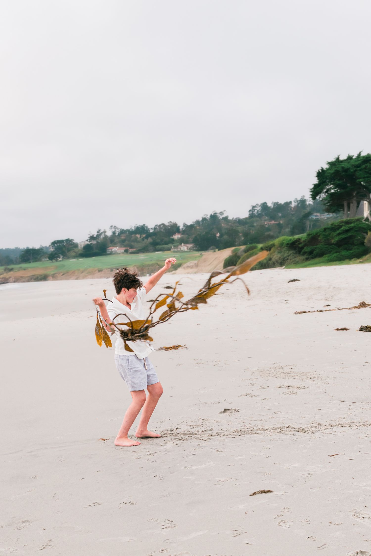 Carmel-by-the-Sea family photographer